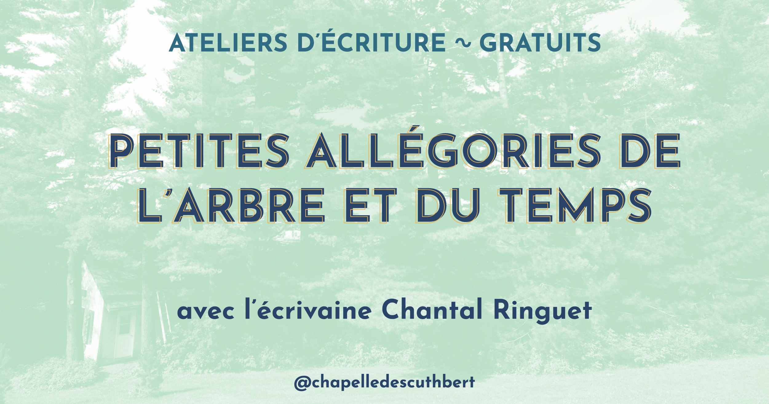 Ateliers d'écriture 