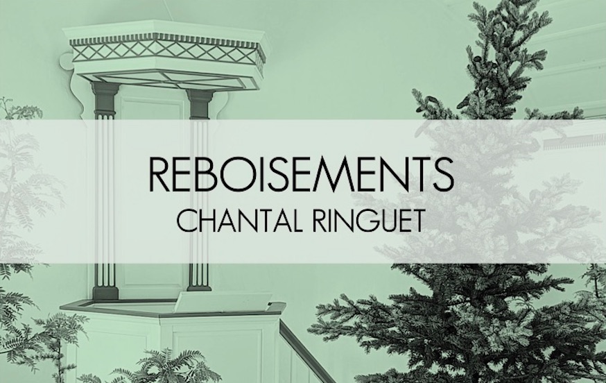 Exposition Reboisements à la Chapelle des Cuthbert